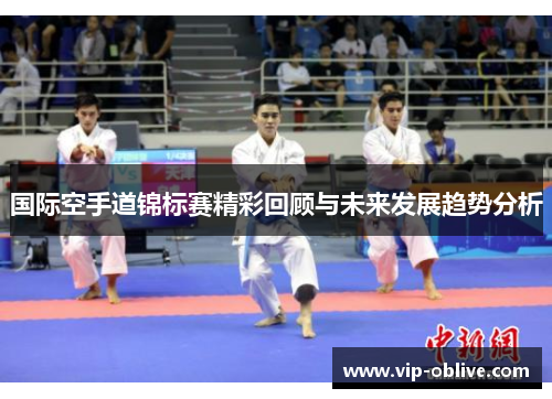 国际空手道锦标赛精彩回顾与未来发展趋势分析