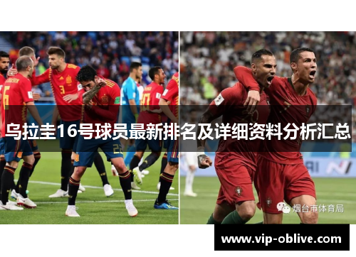 乌拉圭16号球员最新排名及详细资料分析汇总